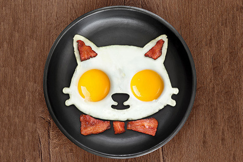 프레드 앤 프랜즈 계란 후라이 모양틀-고양이